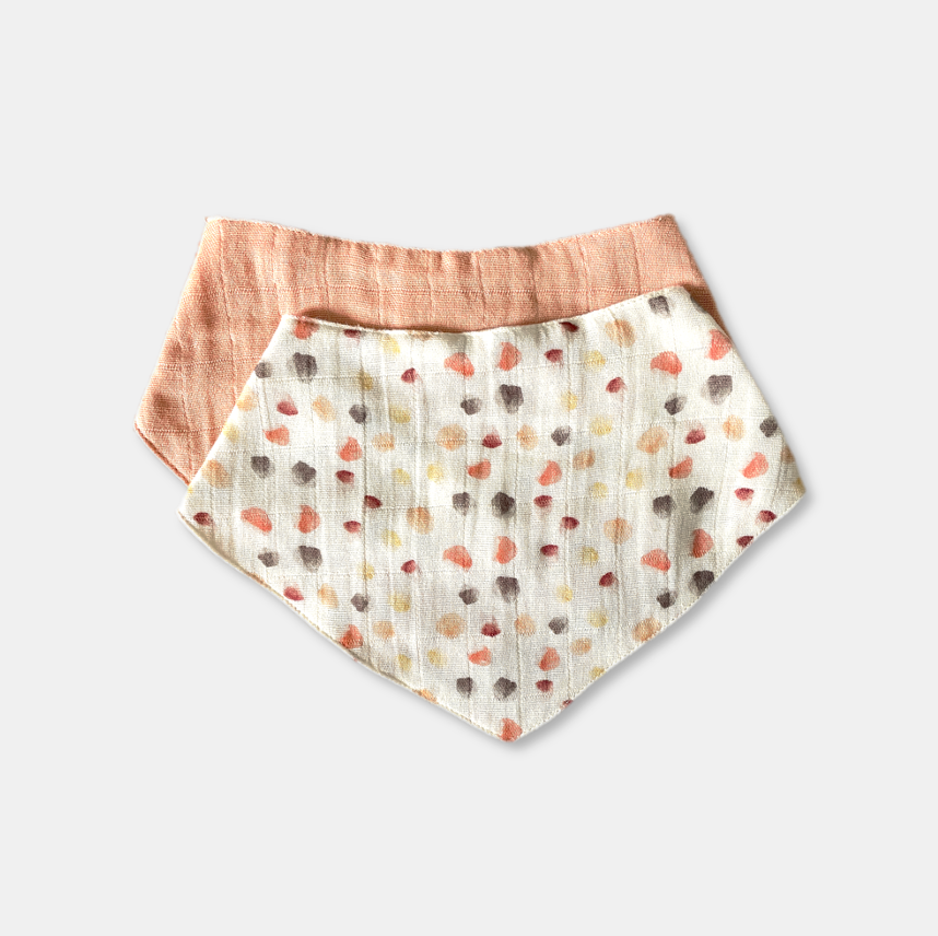 Biscuit & Pebbles Print Bibs- Set of 2